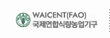 국제연합식량농업기구